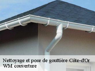 Nettoyage et pose de gouttière 21 Côte-d'Or WM couverture