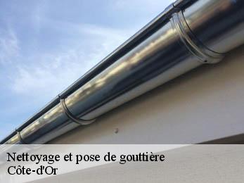 Nettoyage et pose de gouttière Côte-d'Or