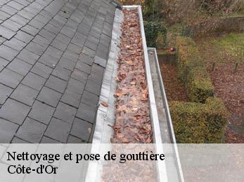 Nettoyage et pose de gouttière