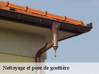 Nettoyage et pose de gouttière Côte-d'Or 