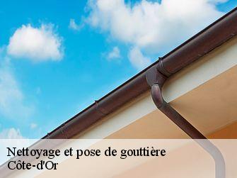 Nettoyage et pose de gouttière Côte-d'Or 