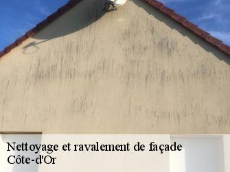 Nettoyage et ravalement de façade Côte-d'Or 