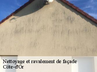 Nettoyage et ravalement de façade Côte-d'Or