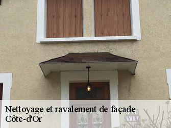 Nettoyage et ravalement de façade Côte-d'Or