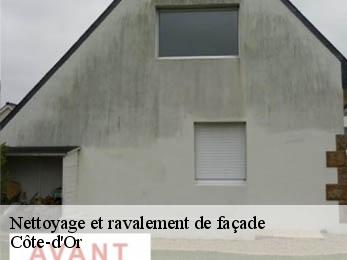 Nettoyage et ravalement de façade Côte-d'Or