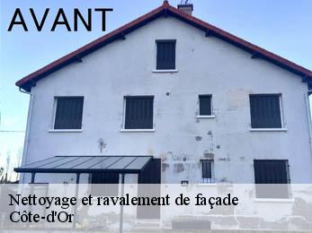 Nettoyage et ravalement de façade Côte-d'Or