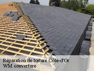 Réparation de toiture 21 Côte-d'Or  WM couverture