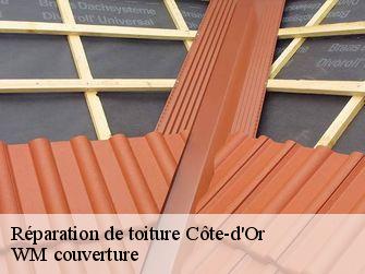Réparation de toiture Côte-d'Or