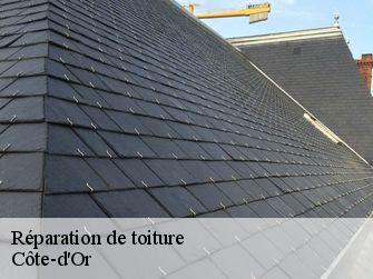 Réparation de toiture Côte-d'Or