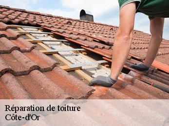Réparation de toiture Côte-d'Or