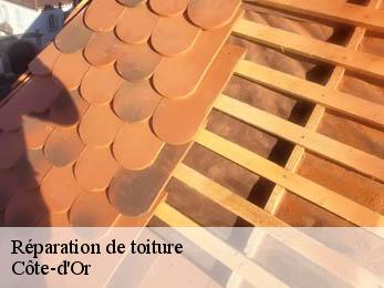 Réparation de toiture Côte-d'Or