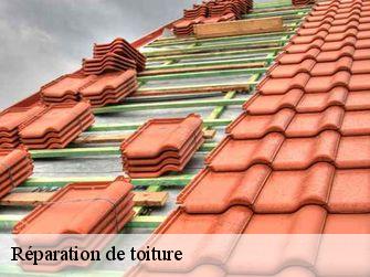 Réparation de toiture Côte-d'Or 