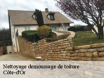 Nettoyage demoussage de toiture Côte-d'Or