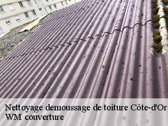 Nettoyage demoussage de toiture Côte-d'Or