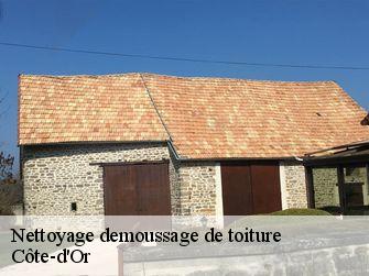 Nettoyage demoussage de toiture Côte-d'Or
