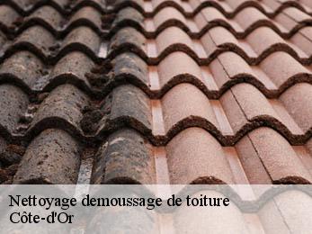 Nettoyage demoussage de toiture Côte-d'Or