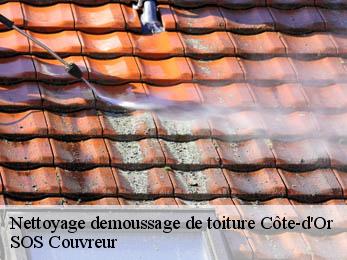 Nettoyage demoussage de toiture Côte-d'Or