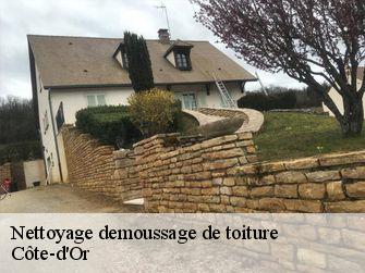 Nettoyage demoussage de toiture Côte-d'Or 