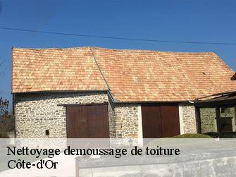 Nettoyage demoussage de toiture Côte-d'Or 