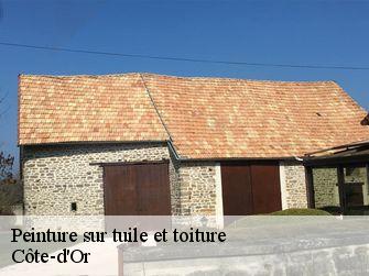 Peinture sur tuile et toiture Côte-d'Or