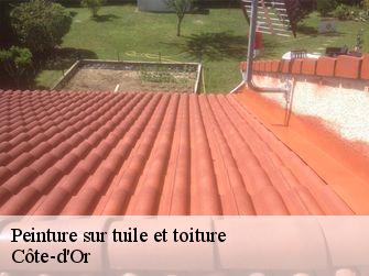 Peinture sur tuile et toiture Côte-d'Or