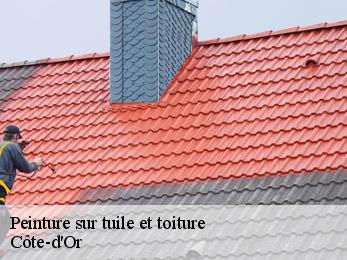 Peinture sur tuile et toiture Côte-d'Or