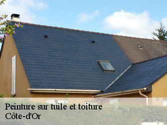 Peinture sur tuile et toiture