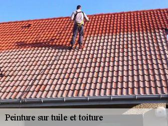 Peinture sur tuile et toiture Côte-d'Or 