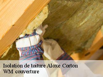 Isolation de toiture  21420