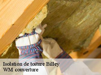 Isolation de toiture 21130
