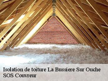 Isolation de toiture  21360