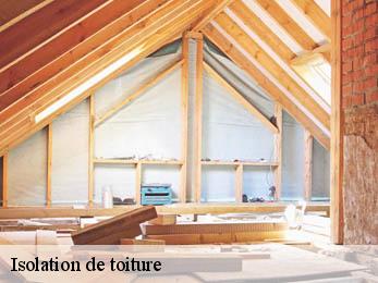 Isolation de toiture 21220