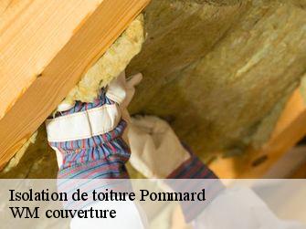 Isolation de toiture 21630