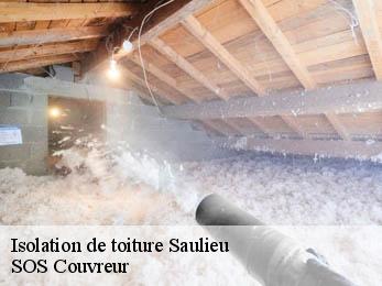 Isolation de toiture