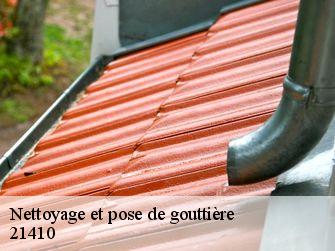 Nettoyage et pose de gouttière  21410