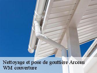Nettoyage et pose de gouttière 21310