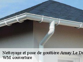 Nettoyage et pose de gouttière  arnay-le-duc-21230 WM couverture