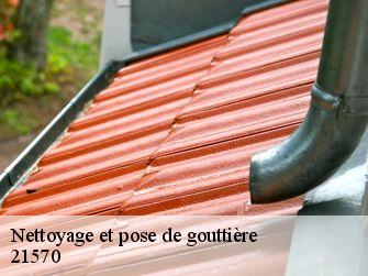 Nettoyage et pose de gouttière  21570