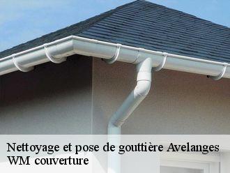 Nettoyage et pose de gouttière  avelanges-21120 WM couverture