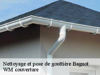 Nettoyage et pose de gouttière  bagnot-21700 WM couverture