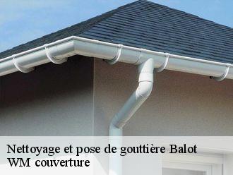 Nettoyage et pose de gouttière balot-21330 WM couverture