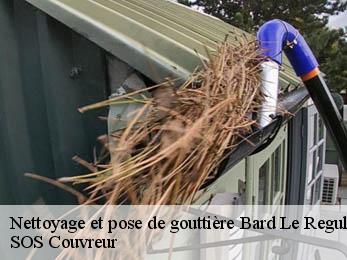 Nettoyage et pose de gouttière