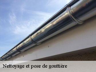 Nettoyage et pose de gouttière