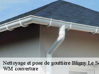 Nettoyage et pose de gouttière bligny-le-sec-21440 WM couverture