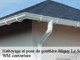 Nettoyage et pose de gouttière  bligny-le-sec-21440 WM couverture