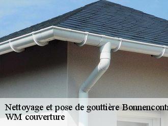 Nettoyage et pose de gouttière  bonnencontre-21250 WM couverture