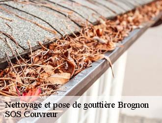 Nettoyage et pose de gouttière brognon-21490 SOS Couvreur