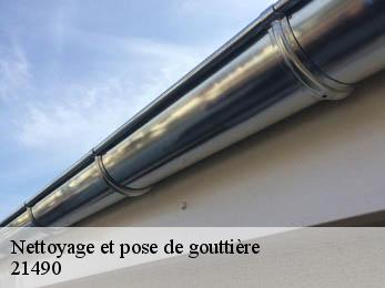 Nettoyage et pose de gouttière 21490
