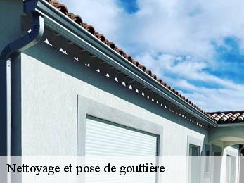 Nettoyage et pose de gouttière 21490