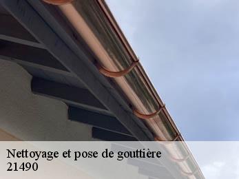 Nettoyage et pose de gouttière 21490